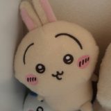 ちいかわ しーぷわぬいぐるみ うさぎ！